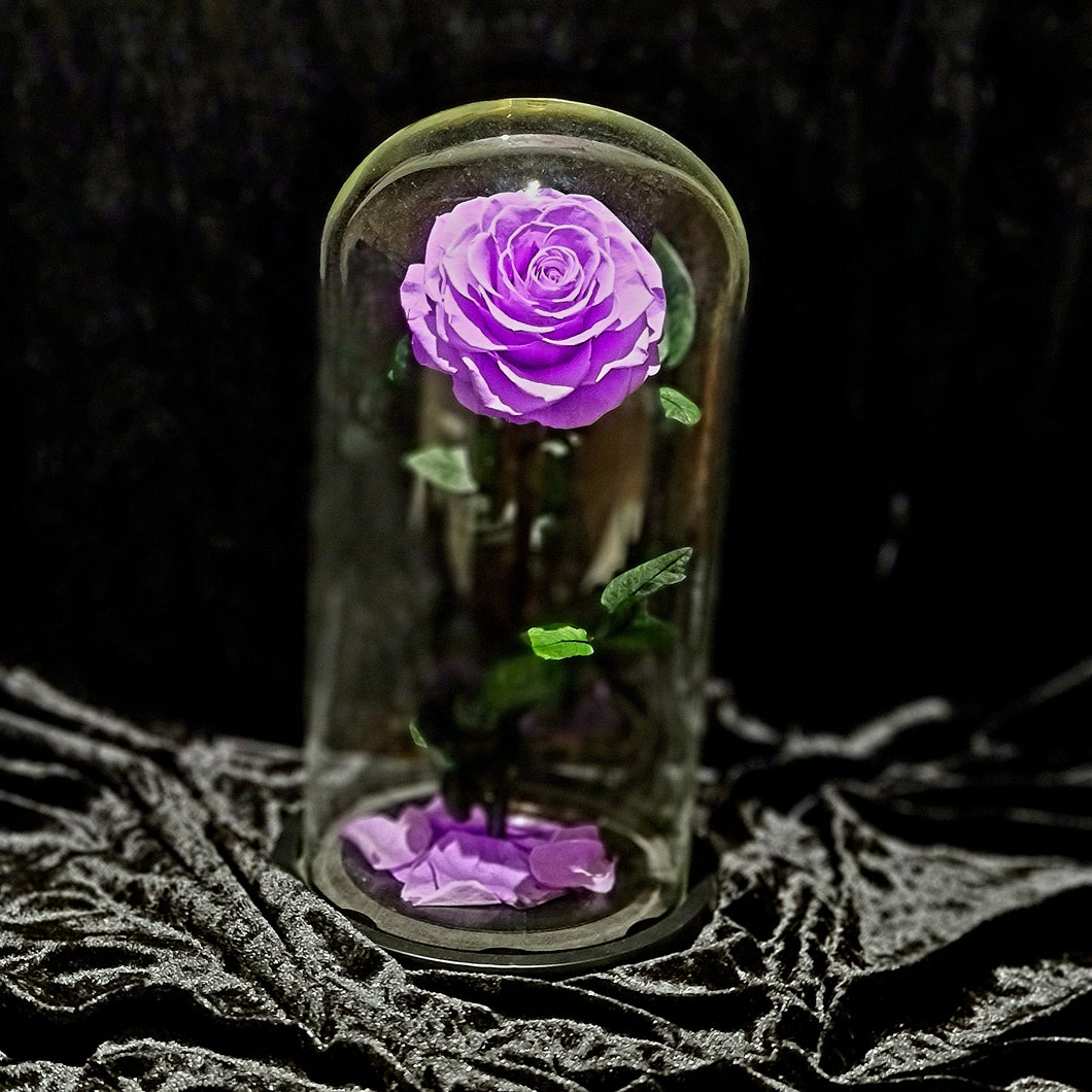 Neon Purple Large Enchanted Rose