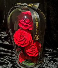 Load image into Gallery viewer, Red Trio Enchanted Roses
