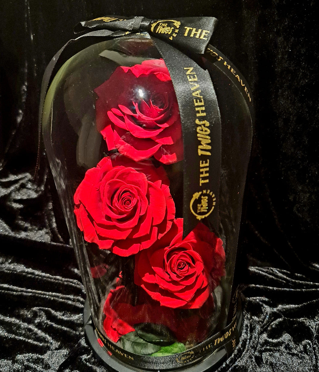 Red Trio Enchanted Roses