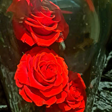 Load image into Gallery viewer, Red Trio Enchanted Roses
