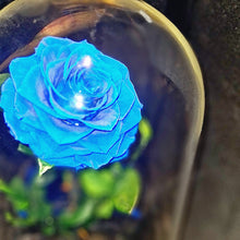 Load image into Gallery viewer, Royal Blue Large Enchanted Rose

