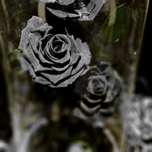Load image into Gallery viewer, Black Trio Enchanted Roses
