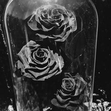 Load image into Gallery viewer, Black Trio Enchanted Roses
