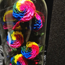 Load image into Gallery viewer, Rainbow Grand Enchanted Roses

